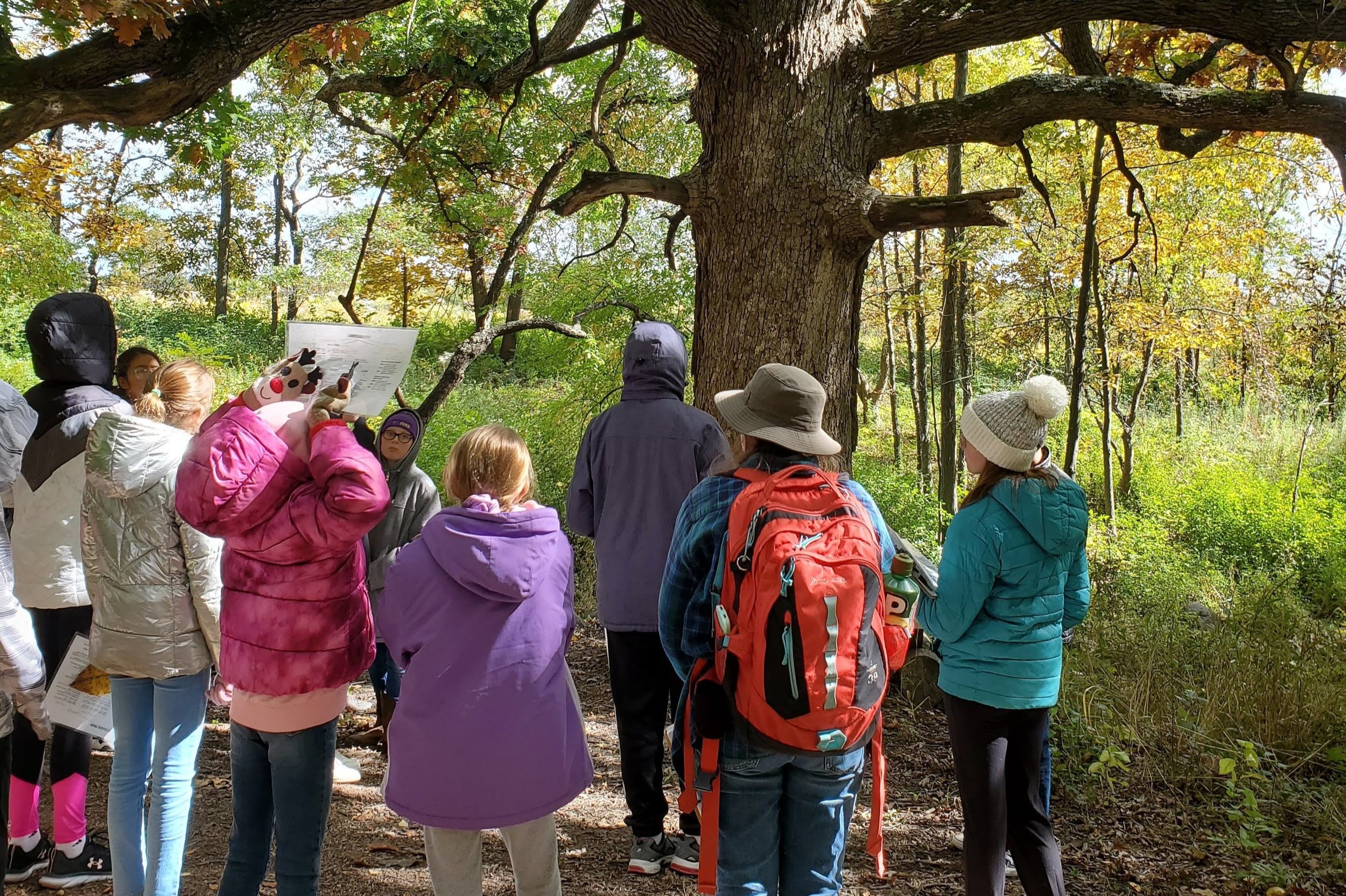 Students on a nature hike in the woods